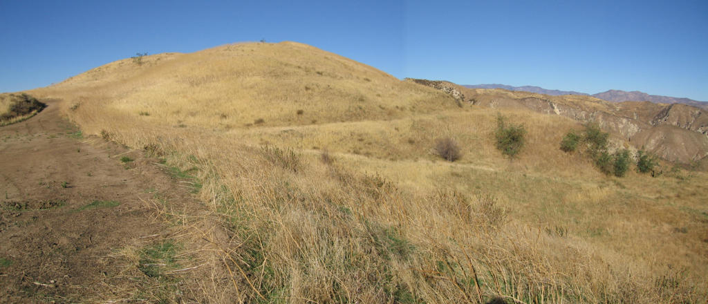 7003 Loma Verde Mountainway Property Photo 28