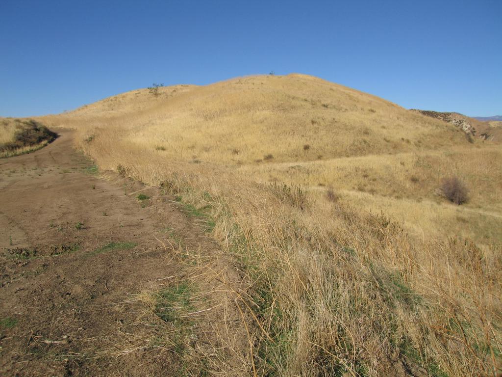 7003 Loma Verde Mountainway Property Photo 39