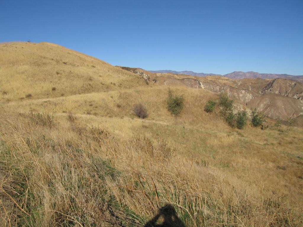 7003 Loma Verde Mountainway Property Photo 40