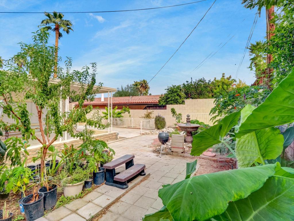 72629 Pitahaya Street Property Photo 26