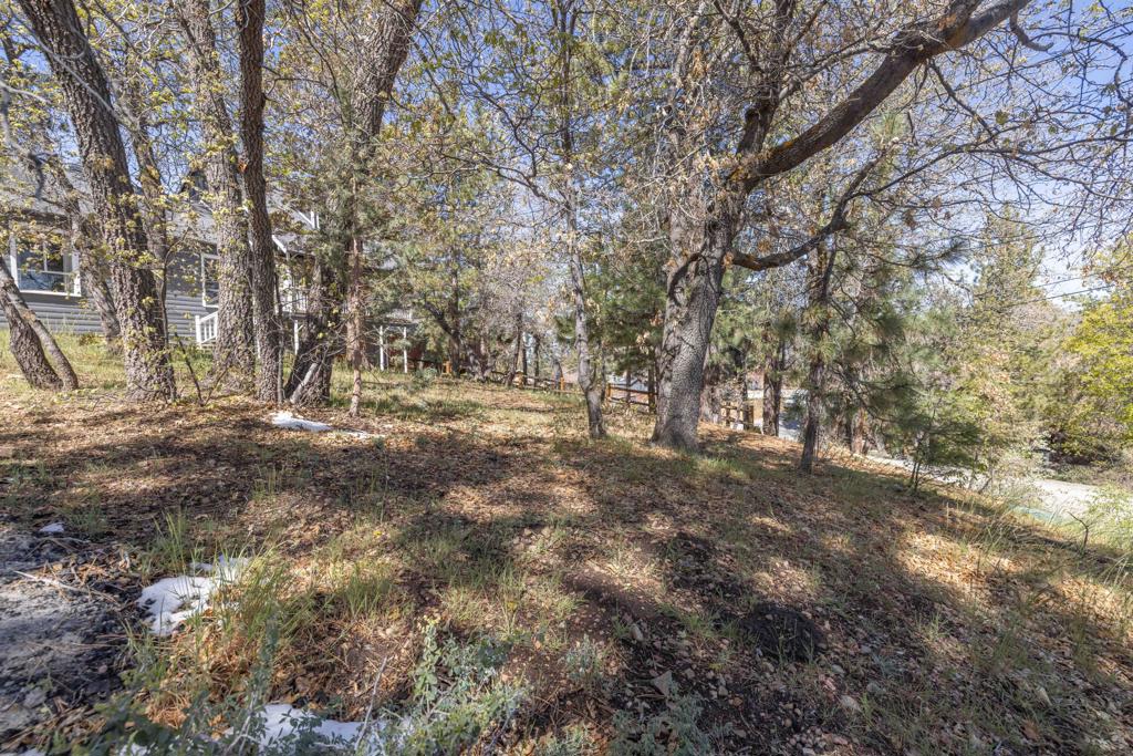 721 Villa Grove Avenue Property Photo 25