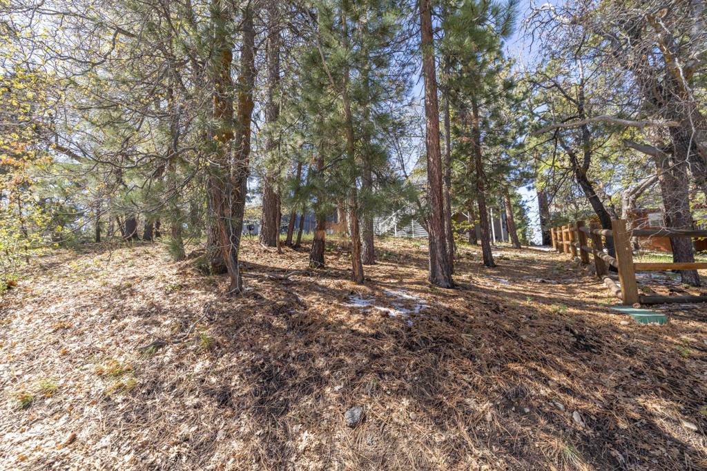 721 Villa Grove Avenue Property Photo 27