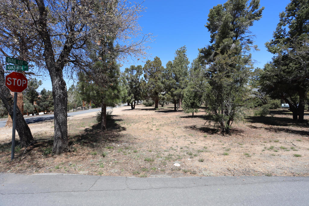 0 Dixie Lee Property Photo 2