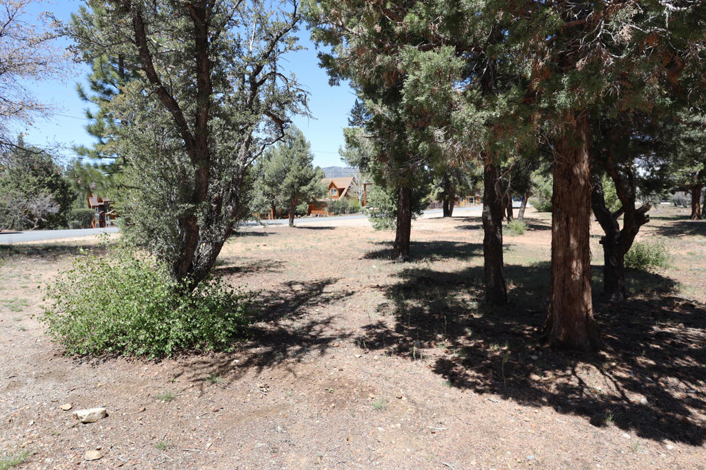 0 Dixie Lee Property Photo 3