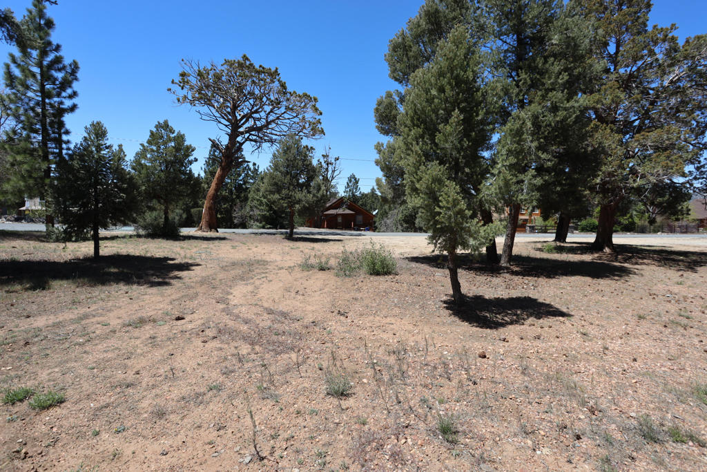 0 Dixie Lee Property Photo 4