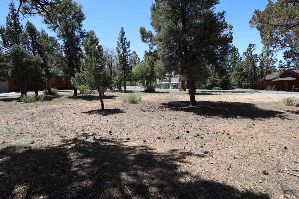 0 Dixie Lee Property Photo 5
