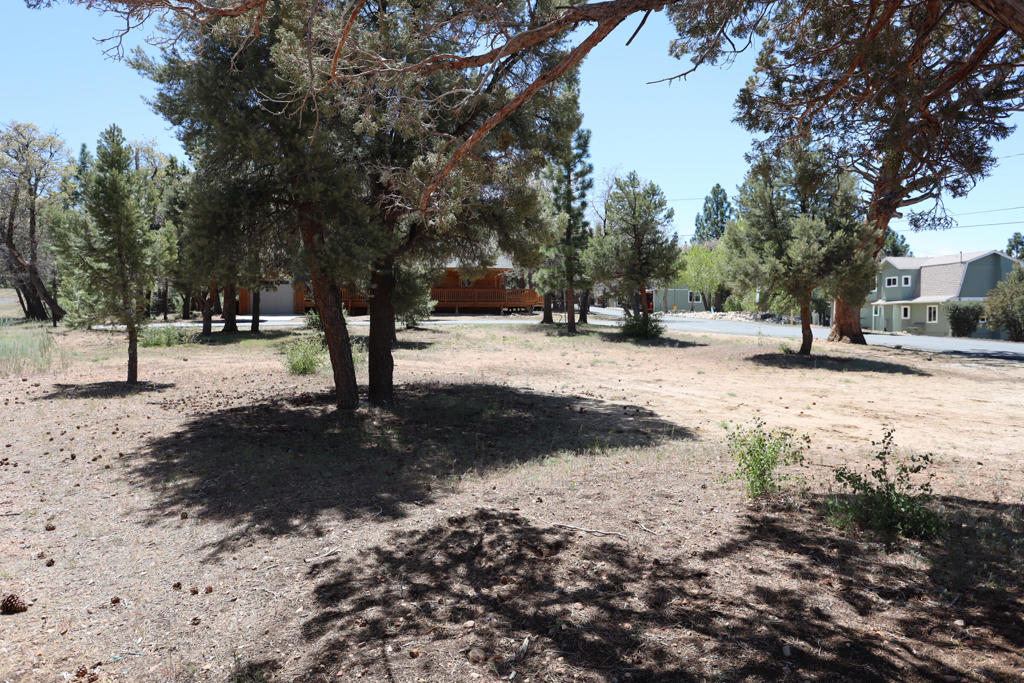 0 Dixie Lee Property Photo 6