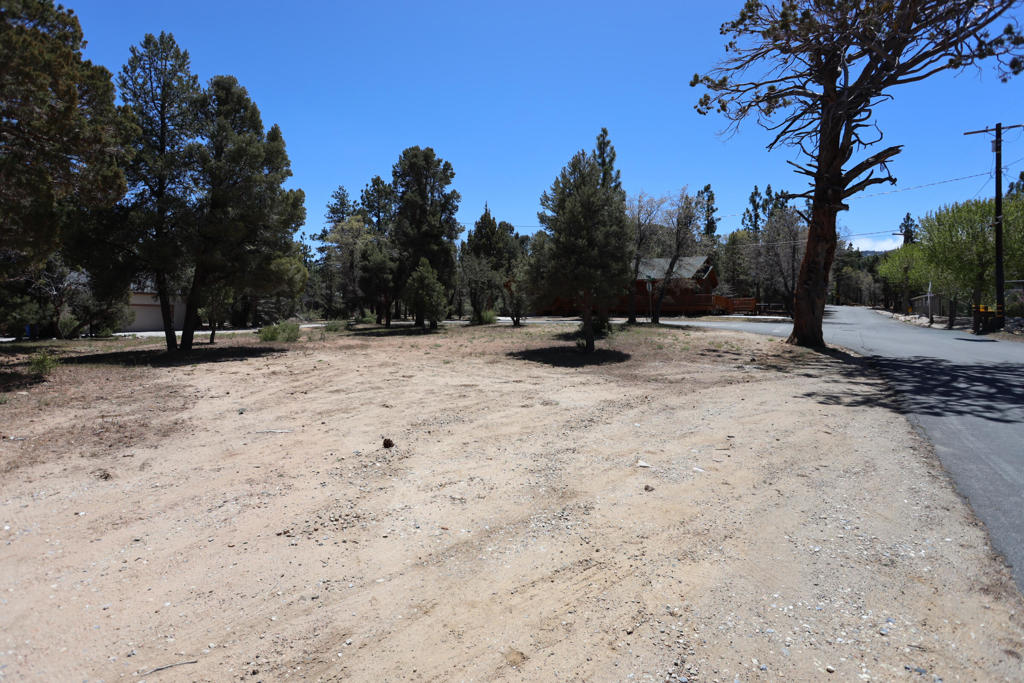 0 Dixie Lee Property Photo 7