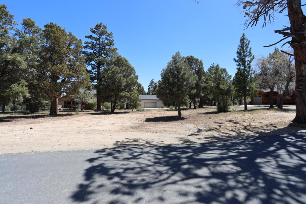 0 Dixie Lee Property Photo 8
