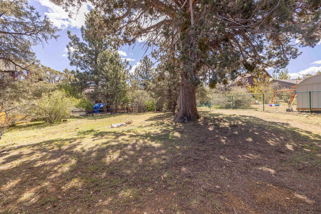 643 Villa Grove Avenue Property Photo 24