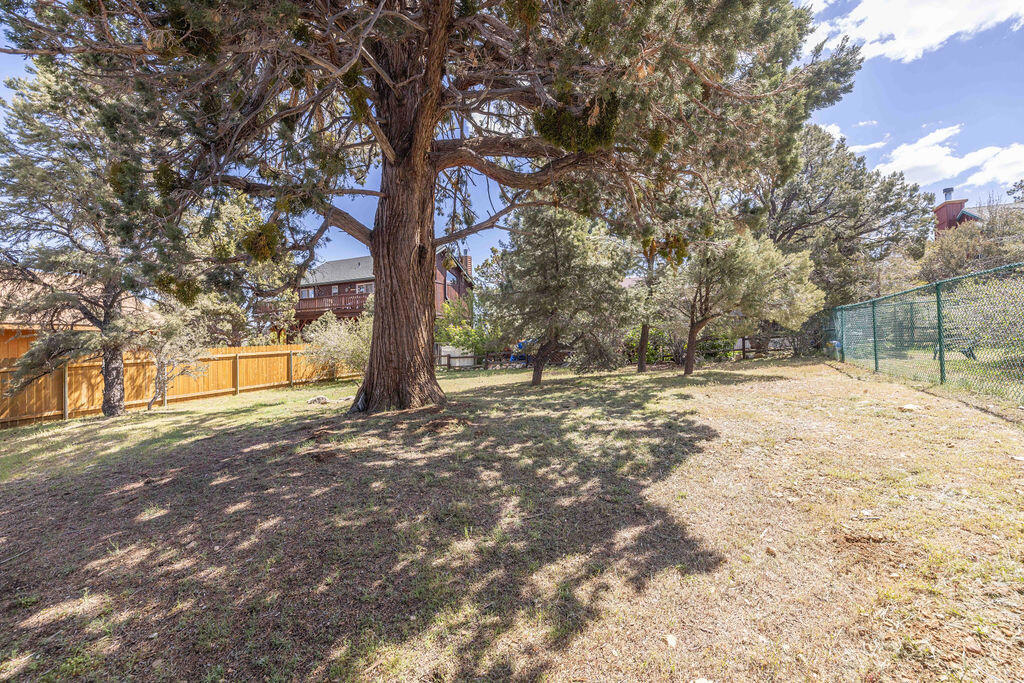 643 Villa Grove Avenue Property Photo 25