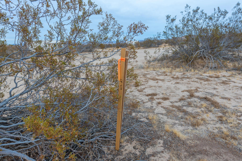 57755 Boo Lane Property Photo 11