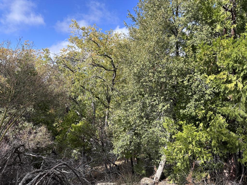 219147592DA Property Photo 2