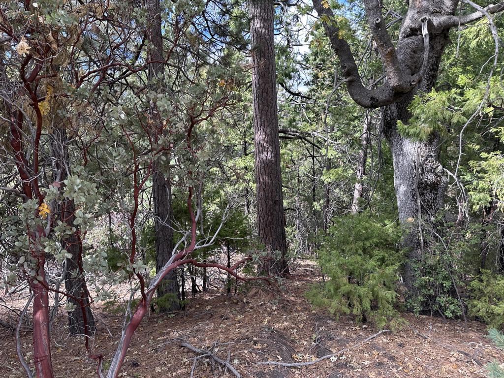 219147592DA Property Photo 3
