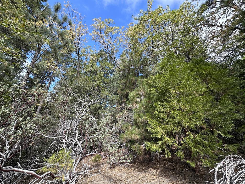 219147592DA Property Photo 5