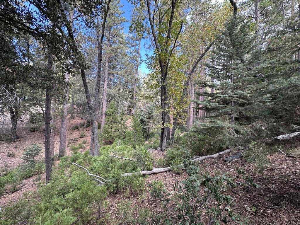219147592DA Property Photo 6