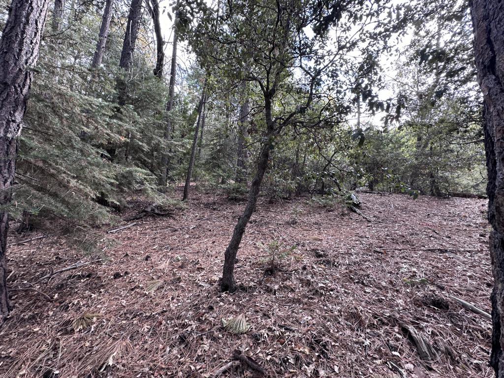 219147592DA Property Photo 7