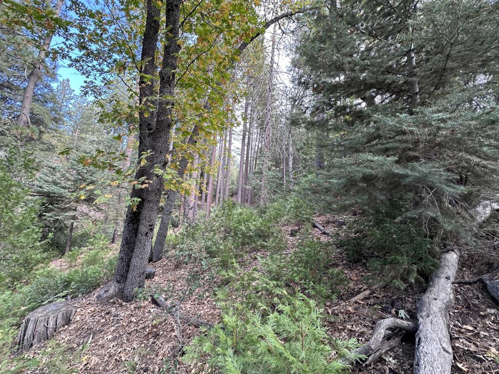 219147592DA Property Photo 8