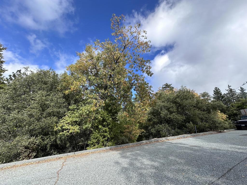 219147592DA Property Photo 12