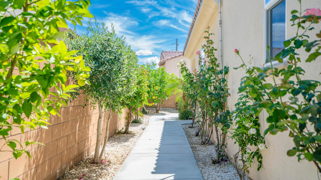 51938 Via Tolosa Property Photo 23