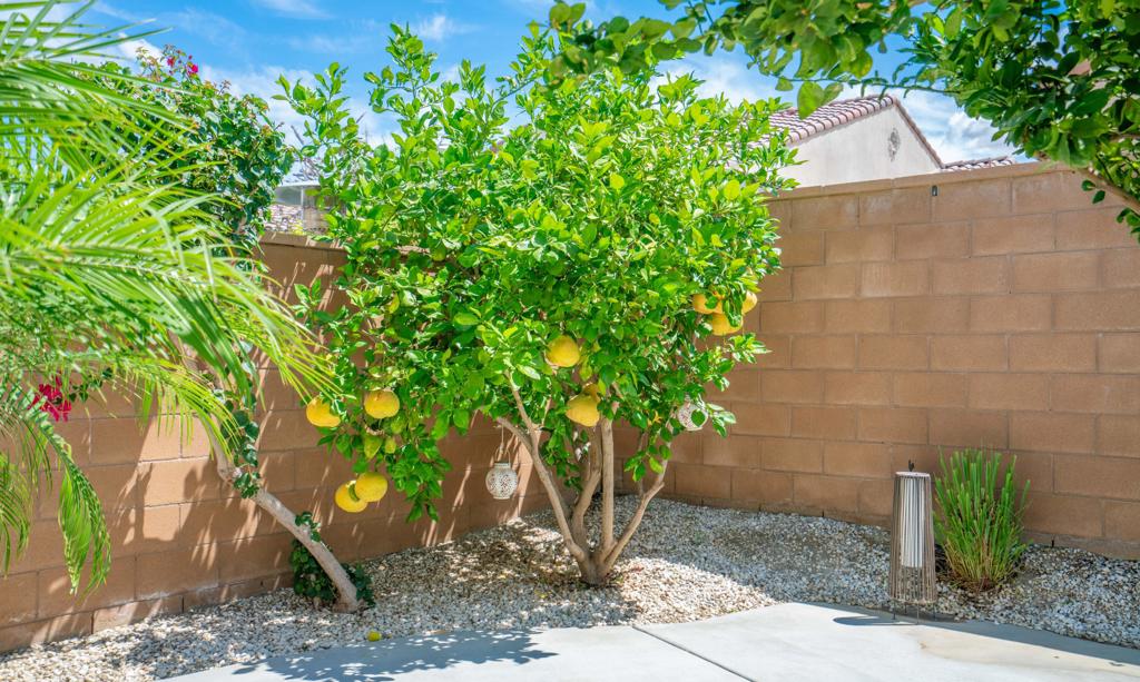 51938 Via Tolosa Property Photo 24