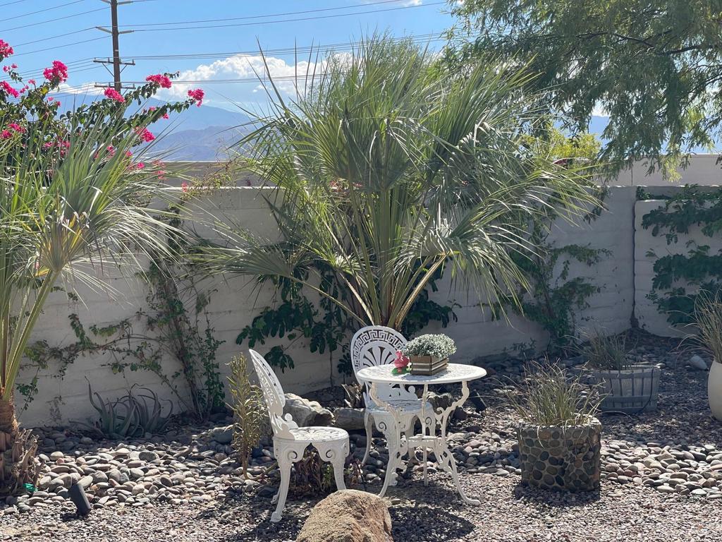 80529 Avenida Camarillo Property Photo 36
