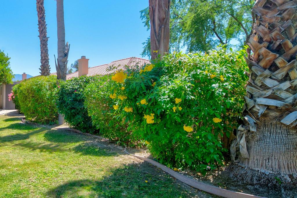 43555 Morning Star Court Property Photo 35