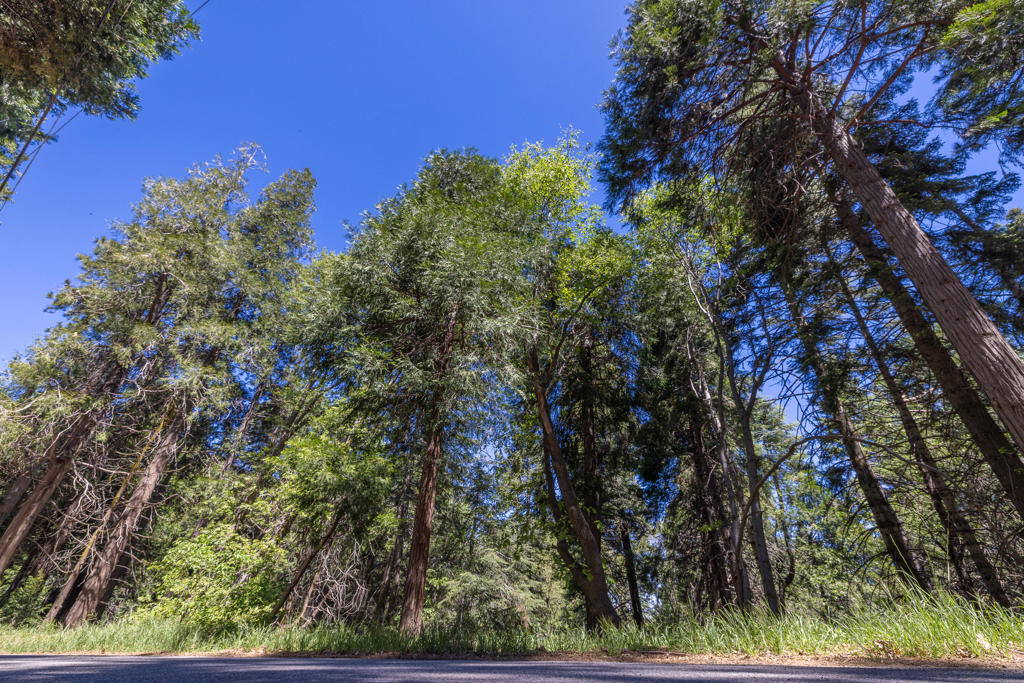 Lot 78 Cedar Pines Drive Property Photo 1