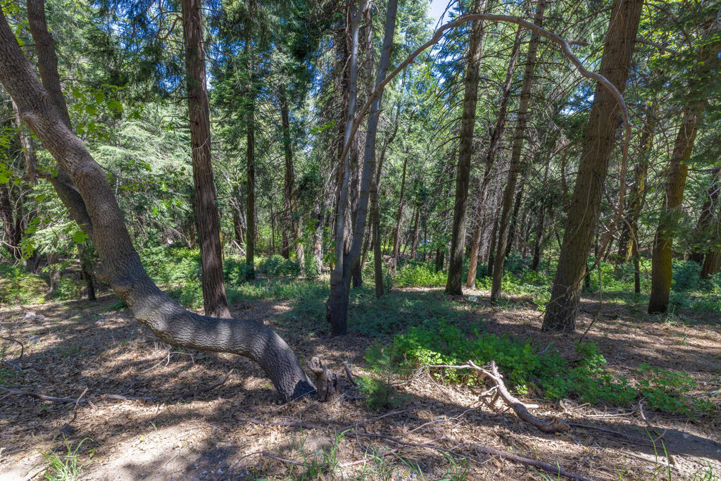 Lot 78 Cedar Pines Drive Property Photo 2