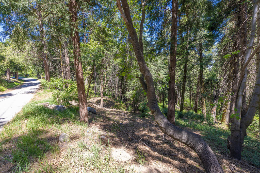 Lot 78 Cedar Pines Drive Property Photo 3