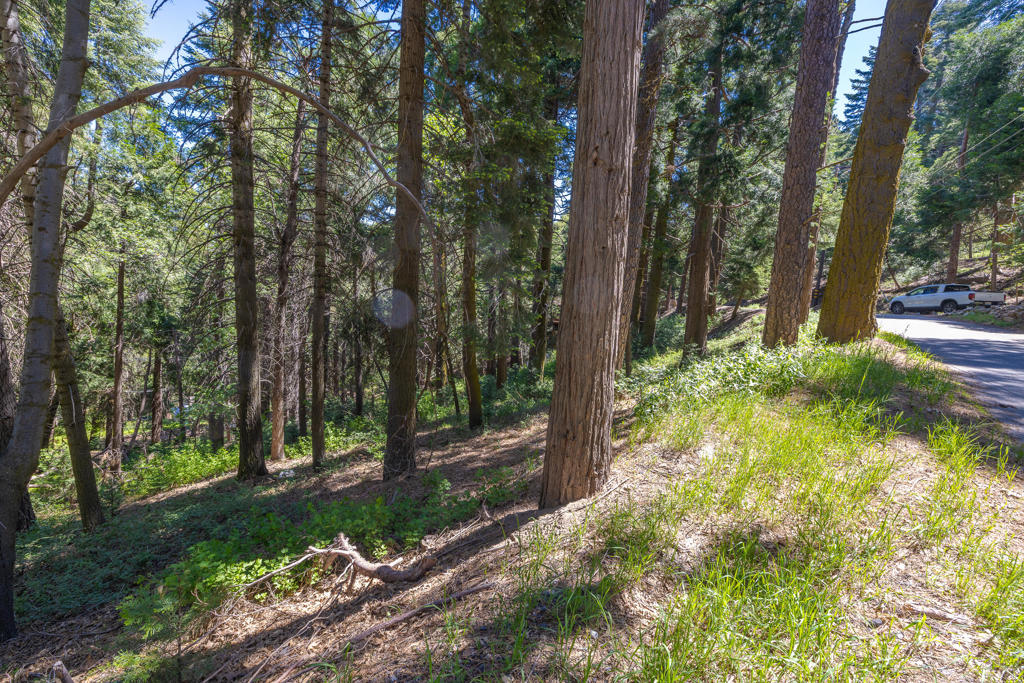Lot 78 Cedar Pines Drive Property Photo 4