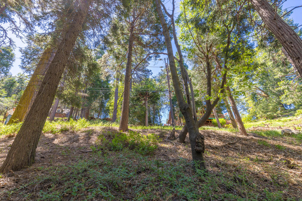 Lot 78 Cedar Pines Drive Property Photo 5