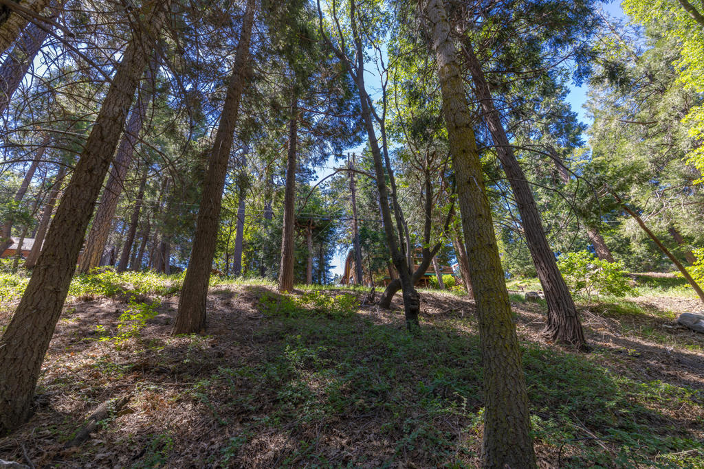 Lot 78 Cedar Pines Drive Property Photo 6