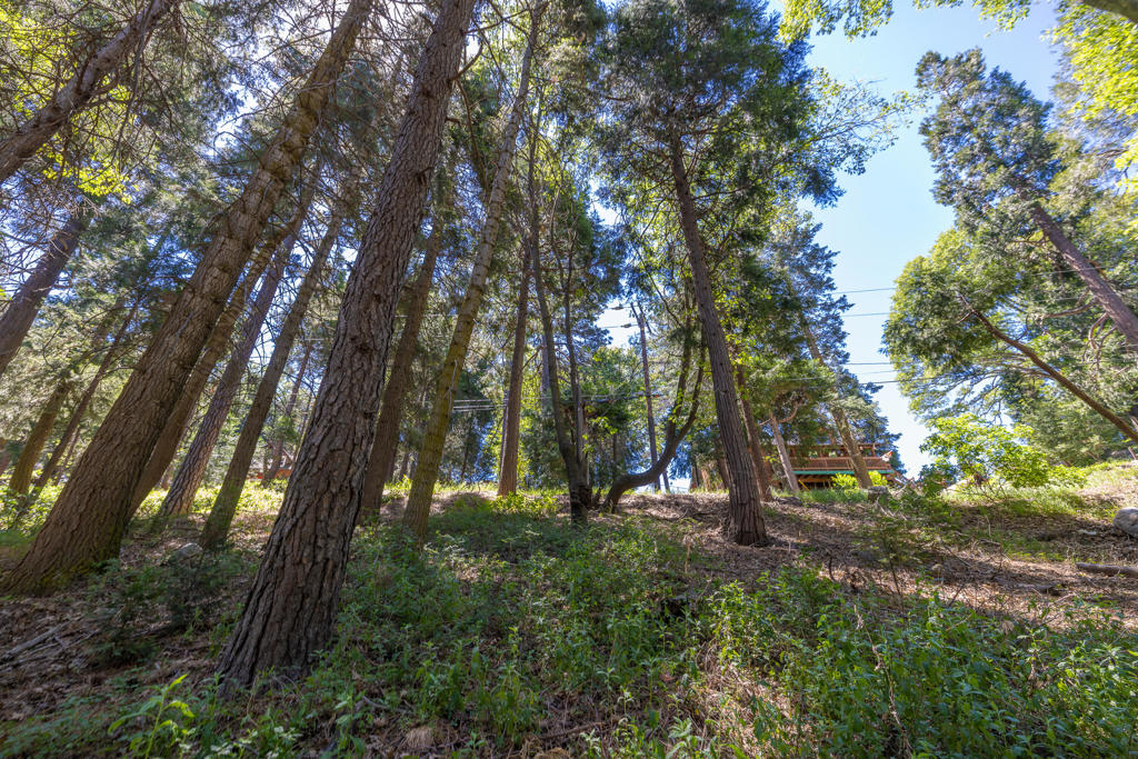 Lot 78 Cedar Pines Drive Property Photo 7