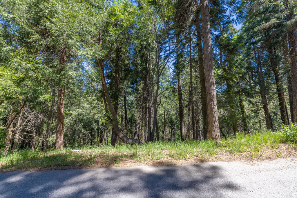 Lot 78 Cedar Pines Drive Property Photo 9