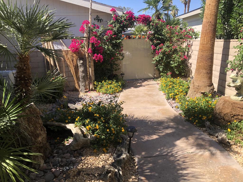 74637 Mexicali Rose Property Photo 7