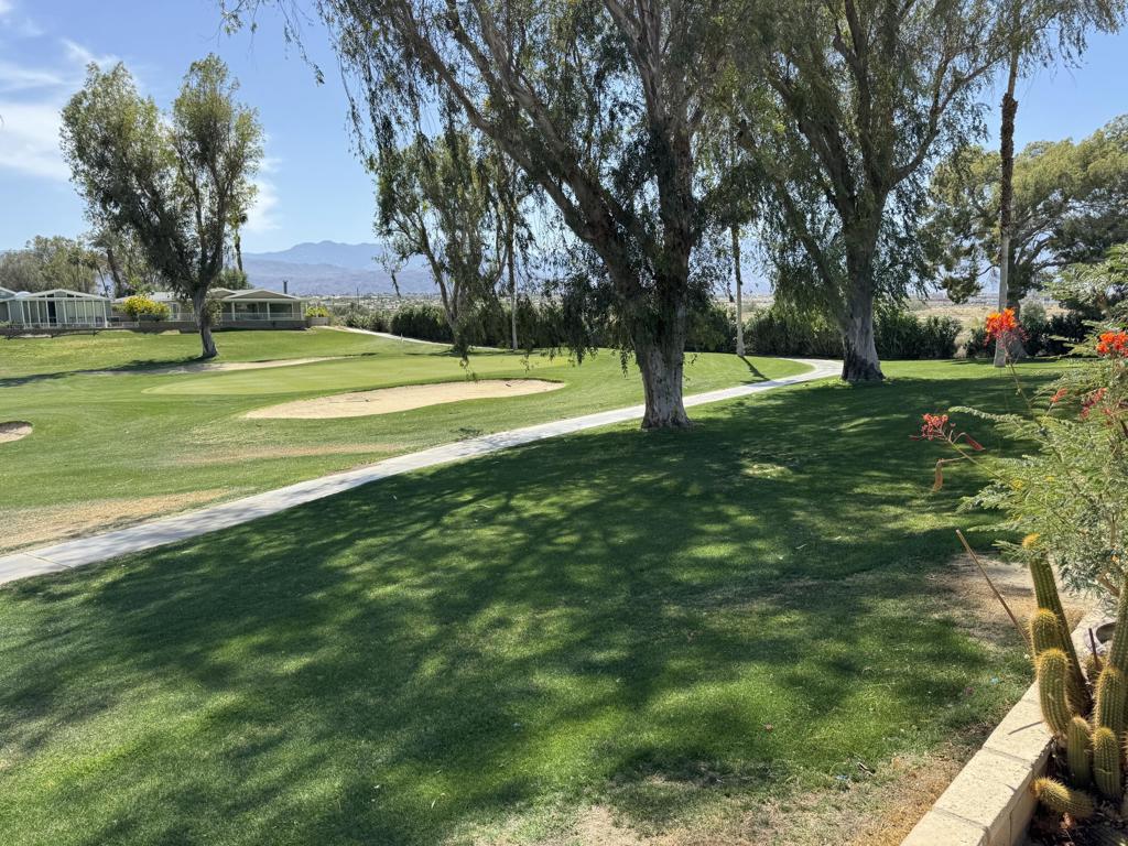 74637 Mexicali Rose Property Photo 12