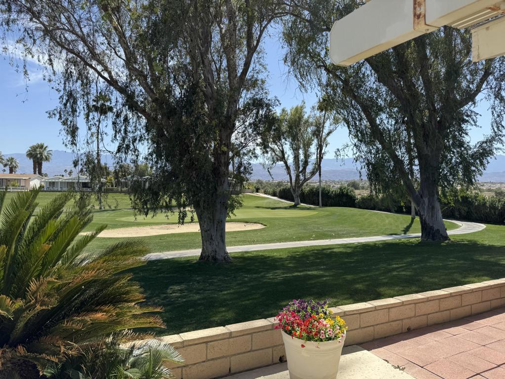 74637 Mexicali Rose Property Photo 13