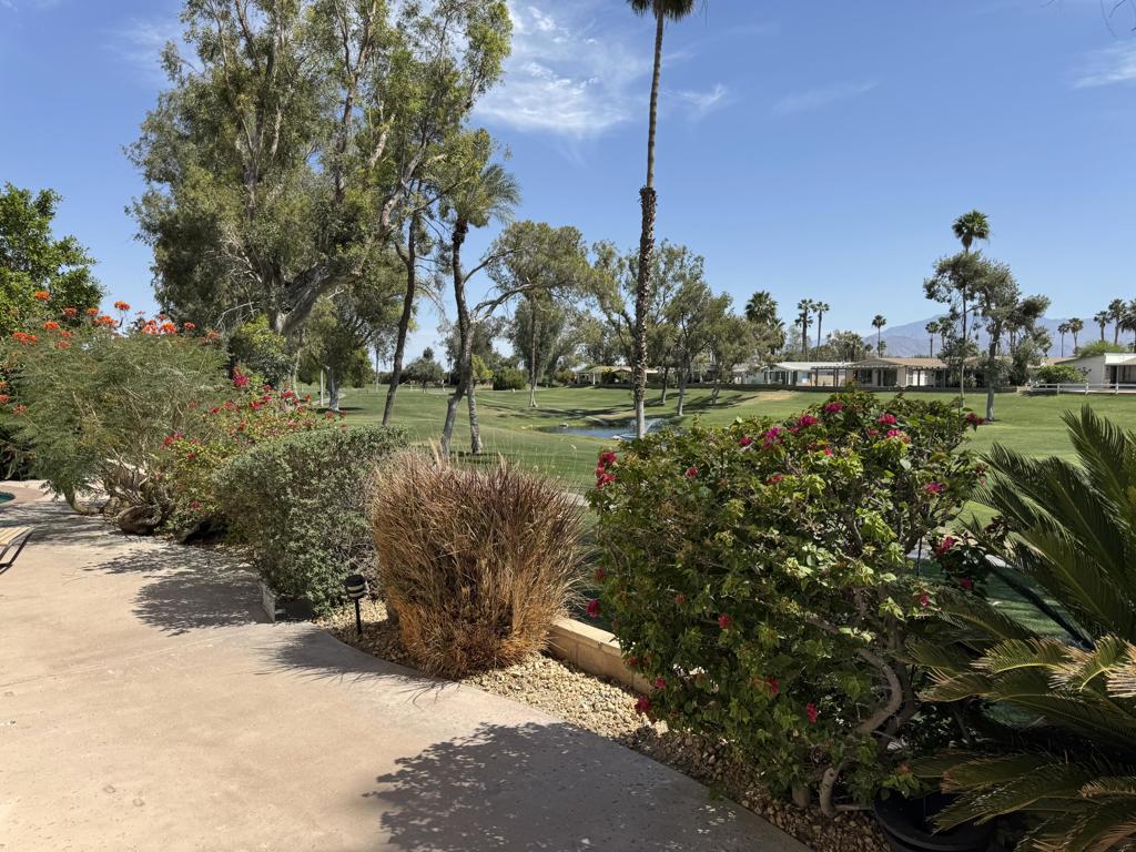74637 Mexicali Rose Property Photo 14