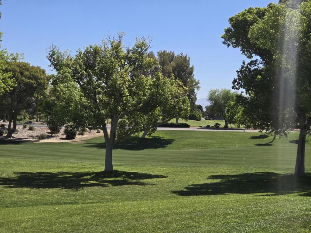 28486 Taos Court Property Photo 15