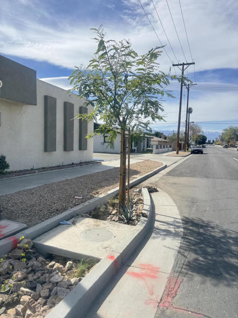 45667 Oasis Street Property Photo 2