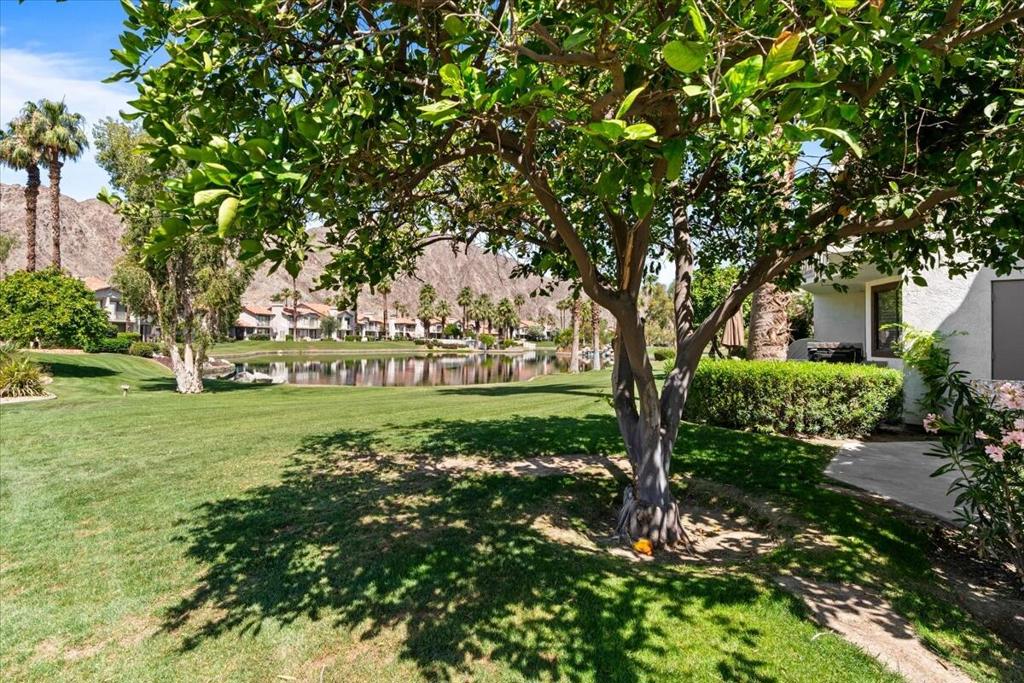 55459 Tanglewood Property Photo 31