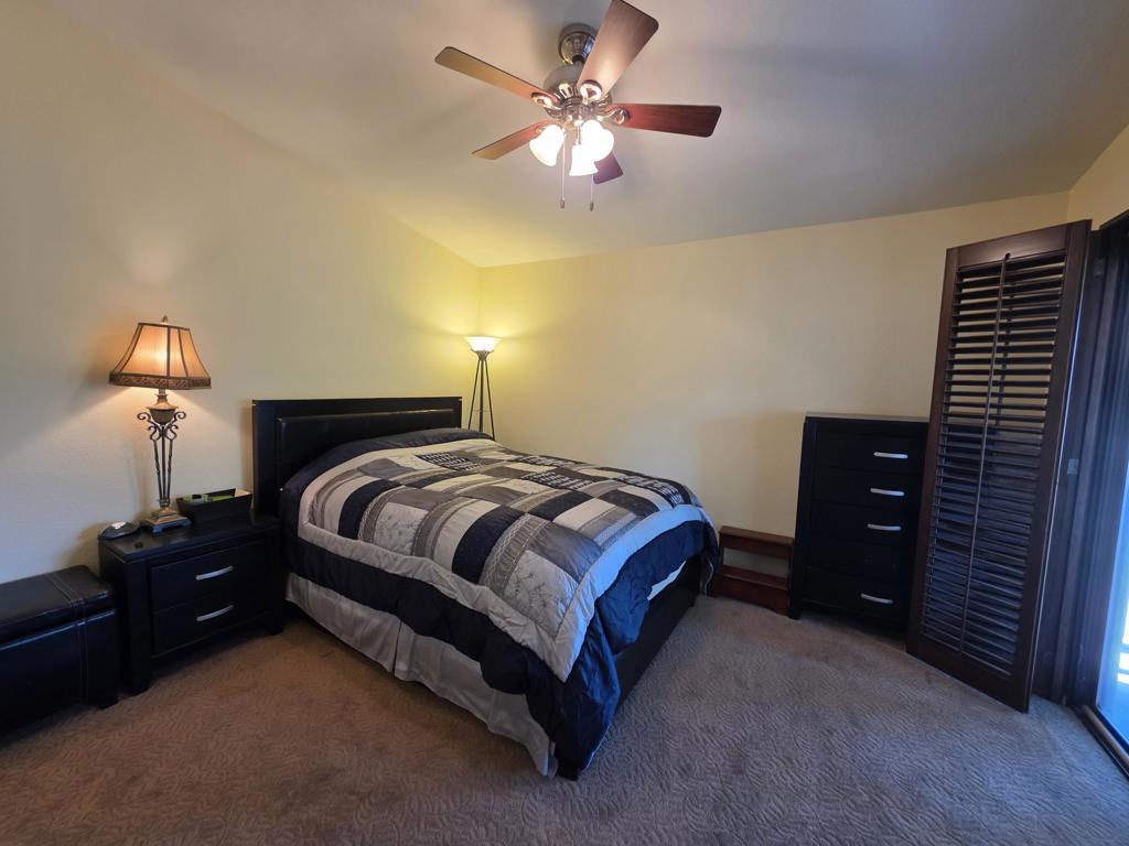 219148038PS Property Photo 10