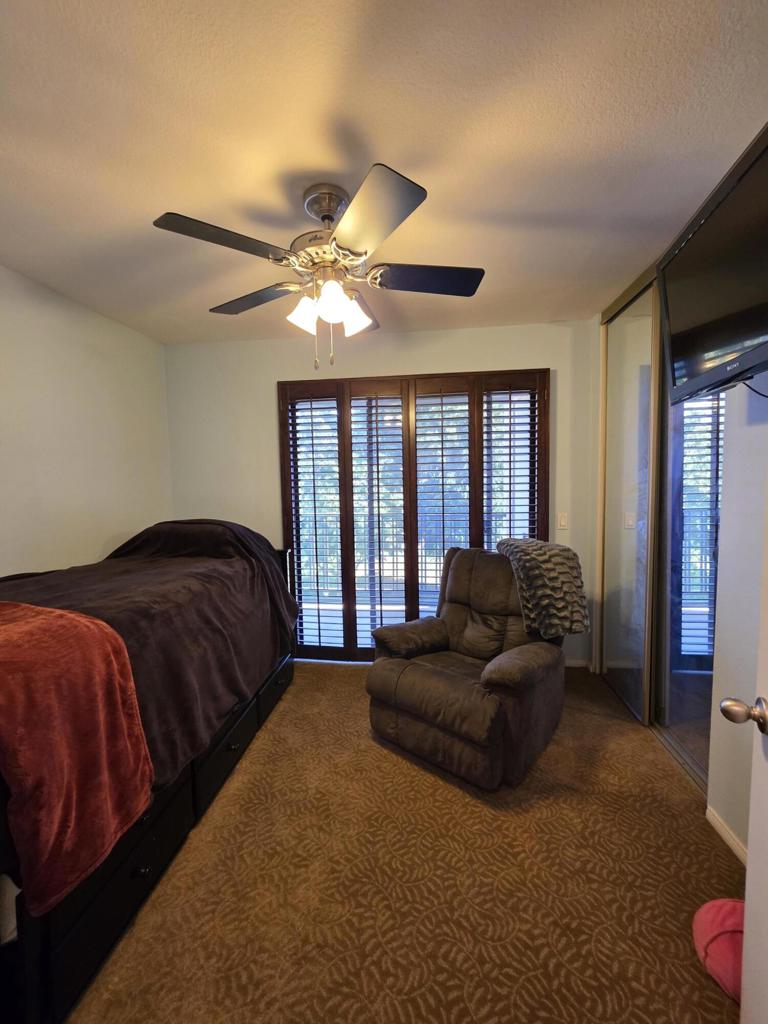 219148038PS Property Photo 12