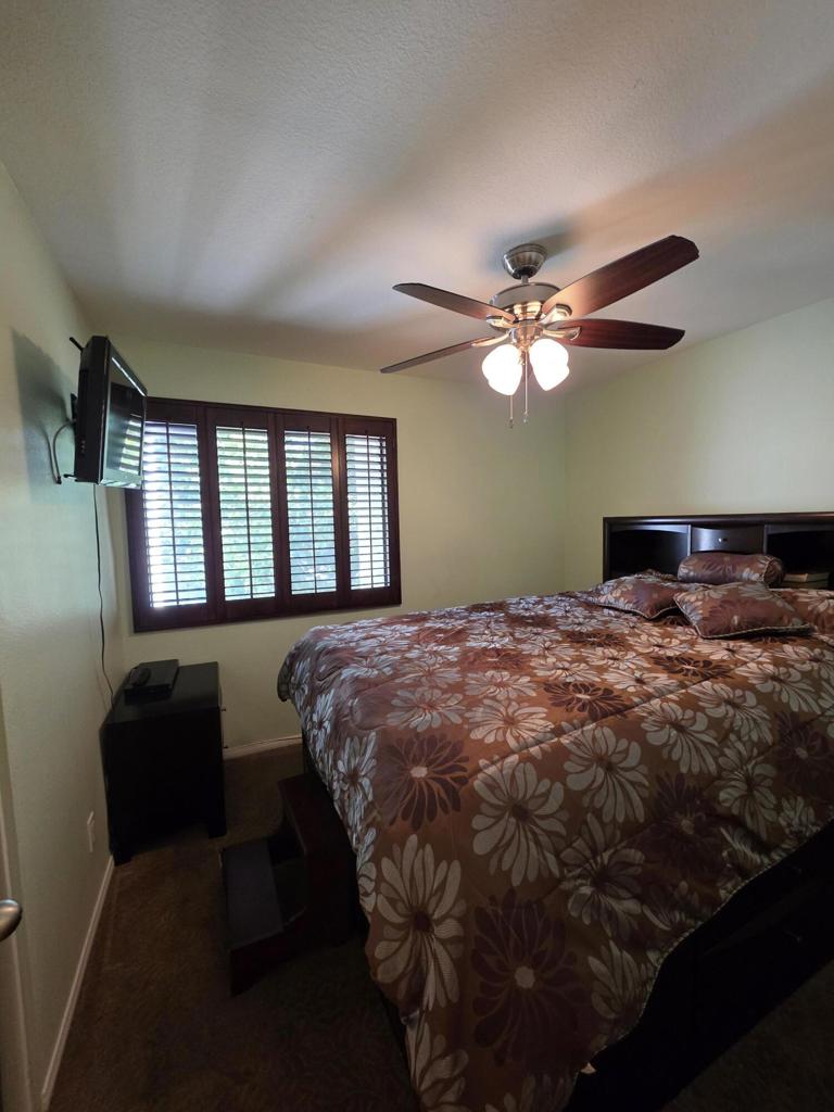 219148038PS Property Photo 13