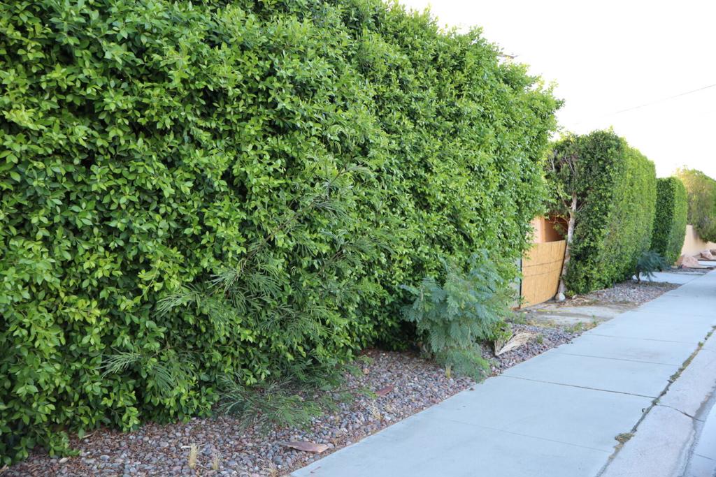 68950 Tortuga Road Property Photo 5