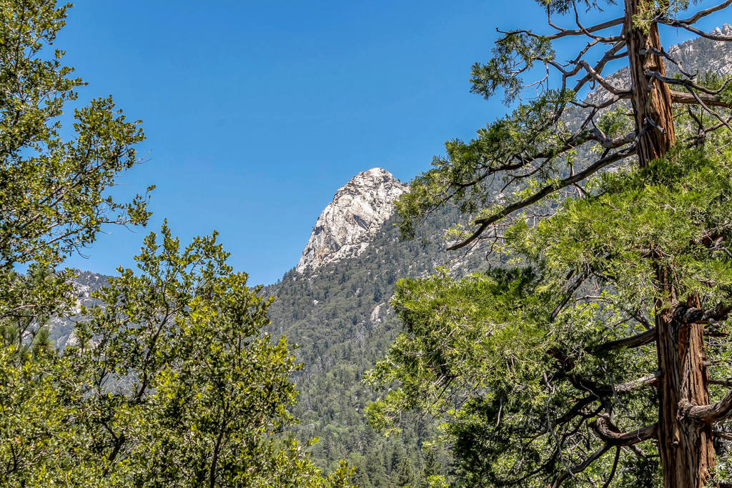 54980 Tahquitz View Drive Property Photo 10