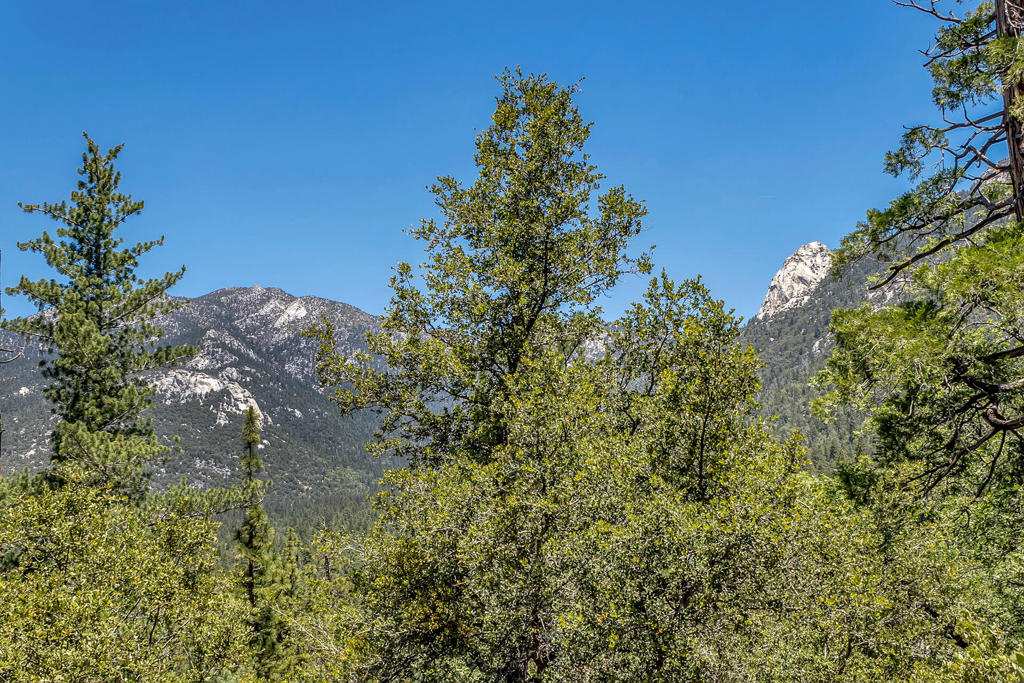 54980 Tahquitz View Drive Property Photo 11