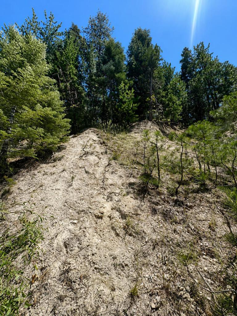 0 Grass Valley Road Property Photo 3