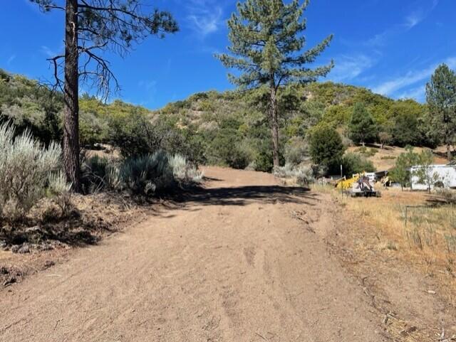 Lot 27 Pipe Creek Road Property Photo 1